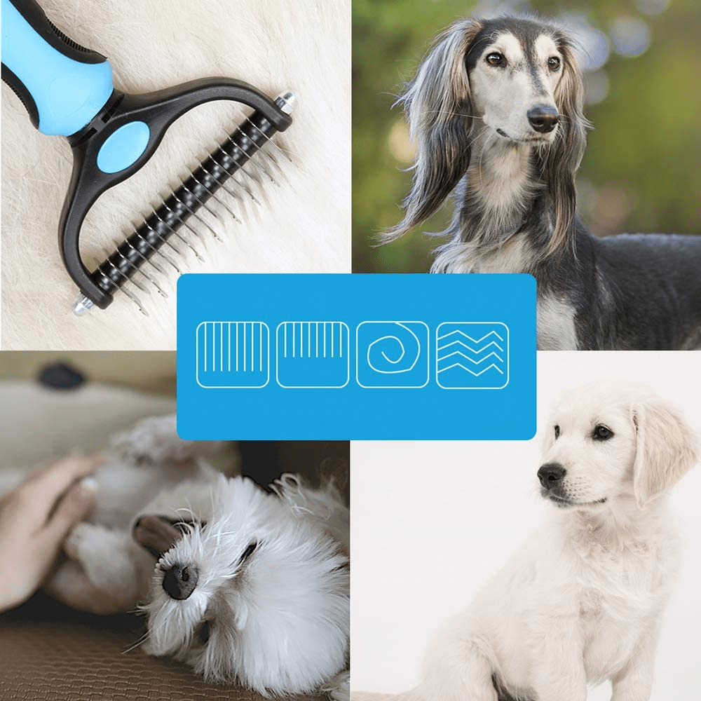 Brosse pour pelage animal avec effet apaisant et élimination efficace des poils