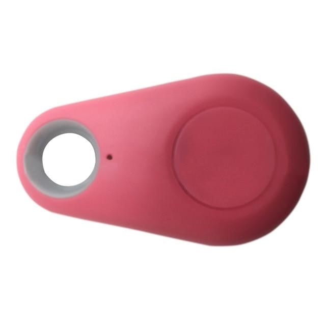 Traceur GPS pour animaux de compagnie compact et fiable