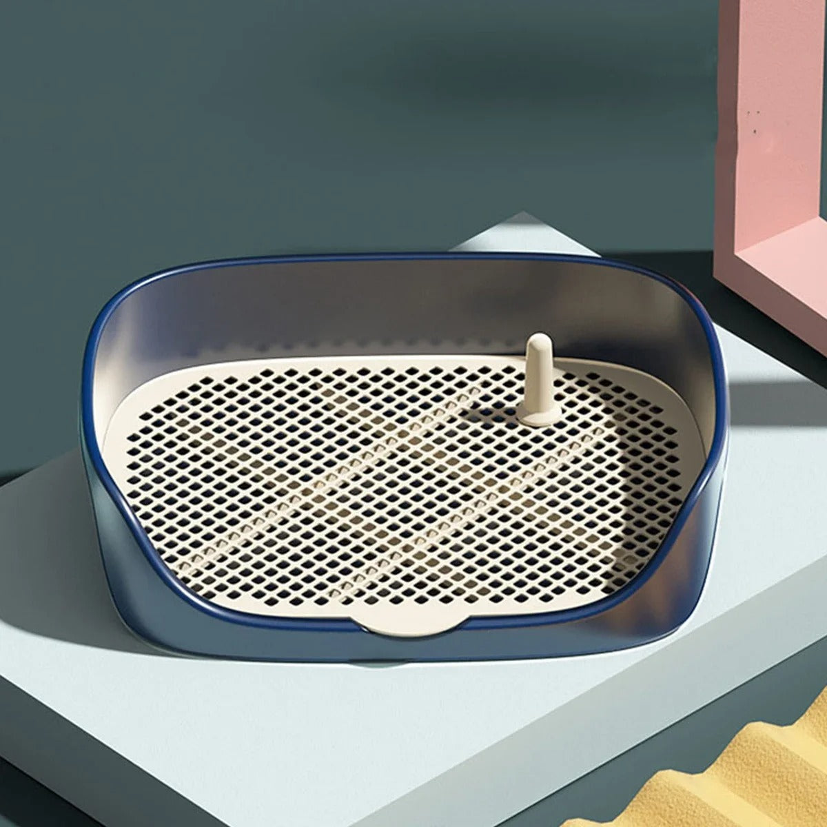 Apprenez la propreté à votre chien