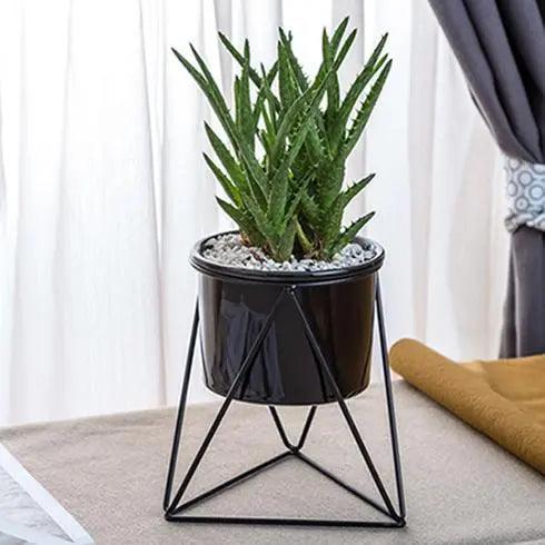 Pot en céramique élégant avec support en fer - Planteur moderne pour plantes aériennes et succulentes