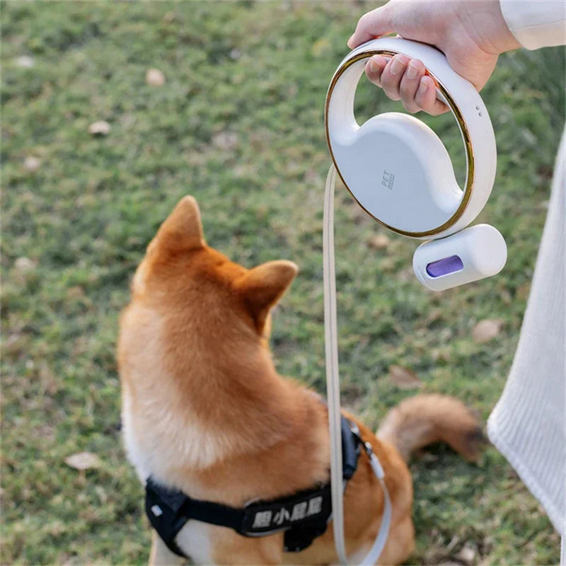 Laisse extensible pour chien pour un contrôle et une commodité ultimes