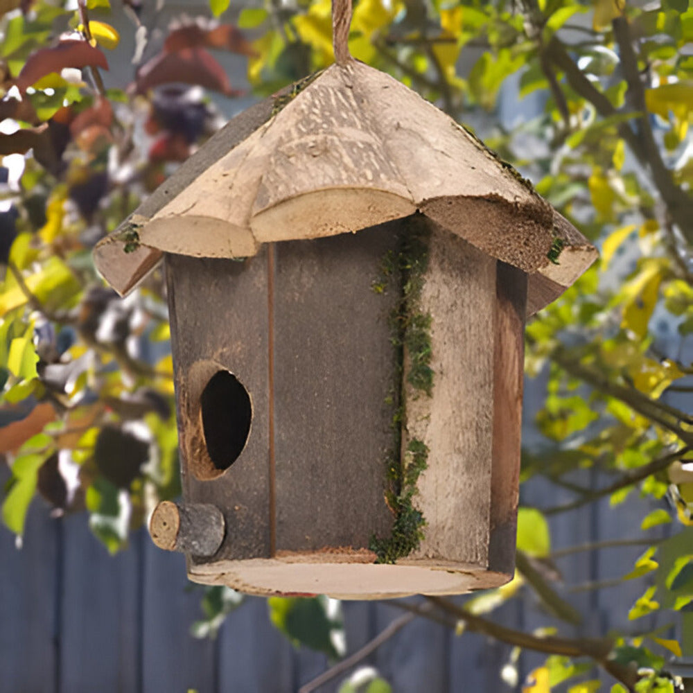 Domus - Charmante maison rustique en bois pour oiseaux avec motif colibri