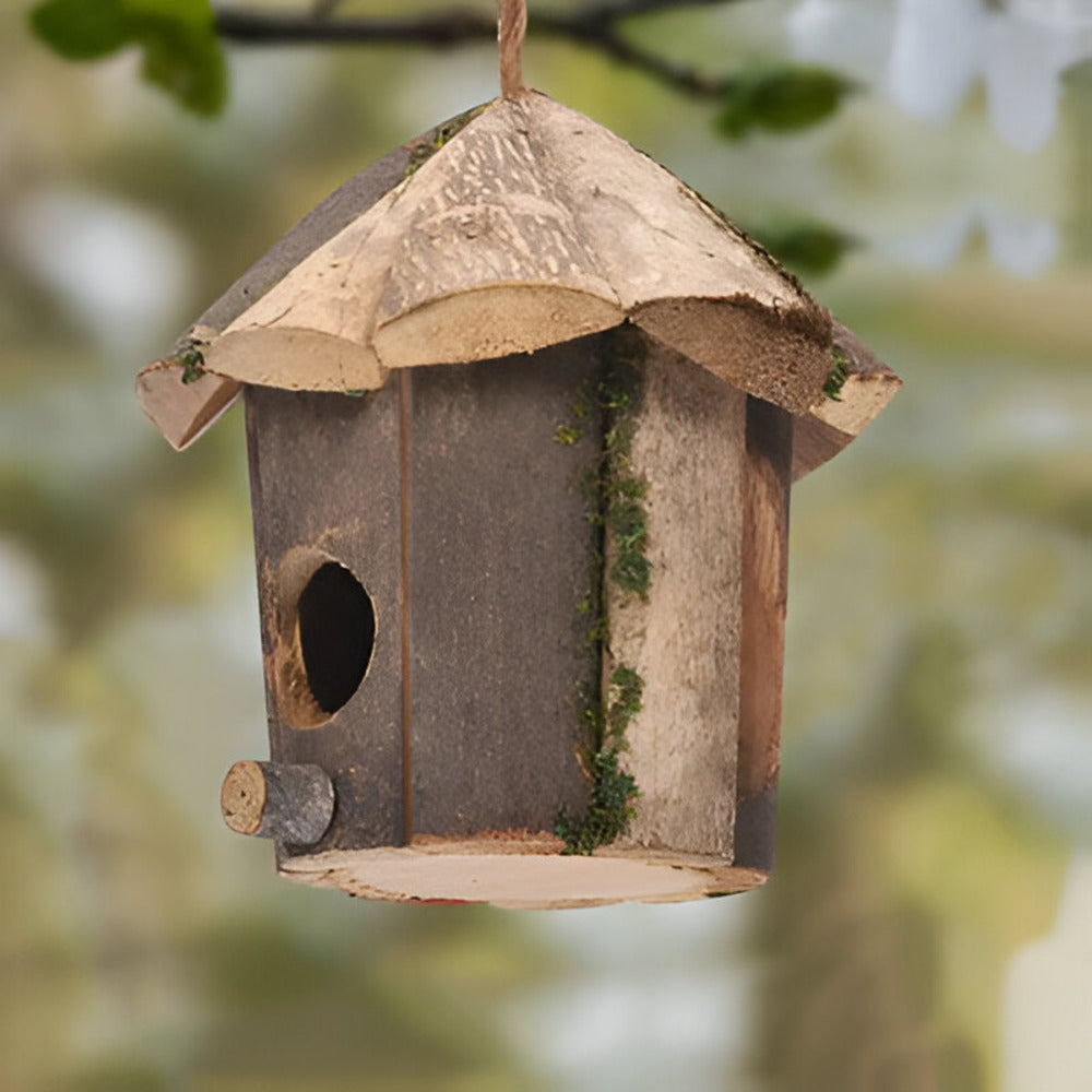 Domus - Charmante maison rustique en bois pour oiseaux avec motif colibri