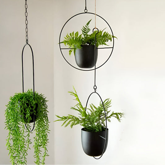 Caelessa - Jardinière murale élégante et épurée pour un intérieur moderne