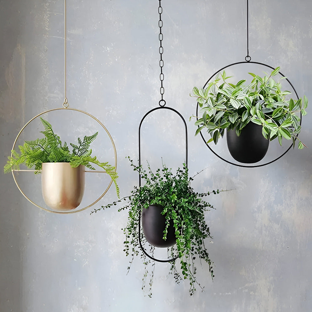 Caelessa - Jardinière murale élégante et épurée pour un intérieur moderne
