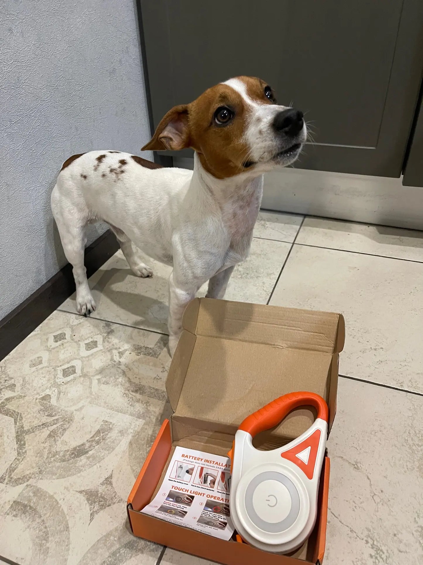 Sécurité Ultime pour Chien : Éclairage LED et Portée de 5m pour Promenade Nocturne