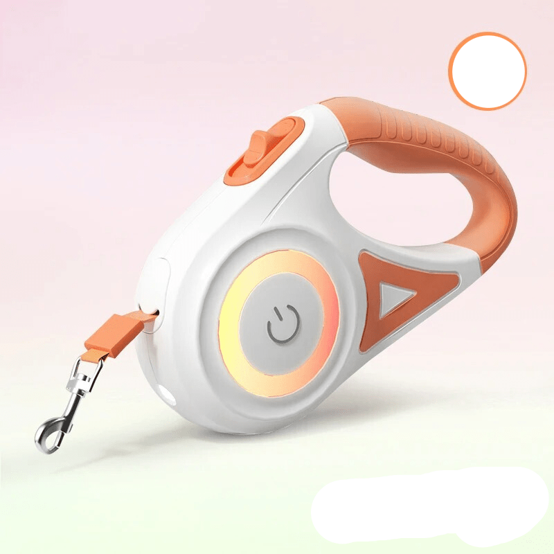 Sécurité Ultime pour Chien : Éclairage LED et Portée de 5m pour Promenade Nocturne