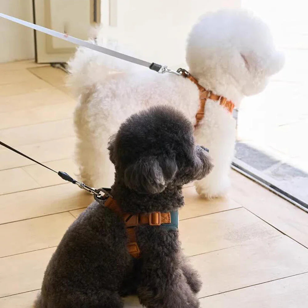 Harnais et sangle mignons et réglables pour le confort et la sécurité