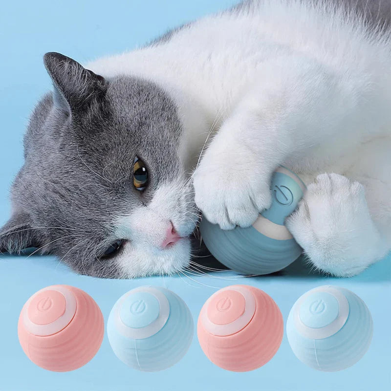 Jouet interactif innovant pour chat avec fonction rechargeable pour un plaisir infini du chat