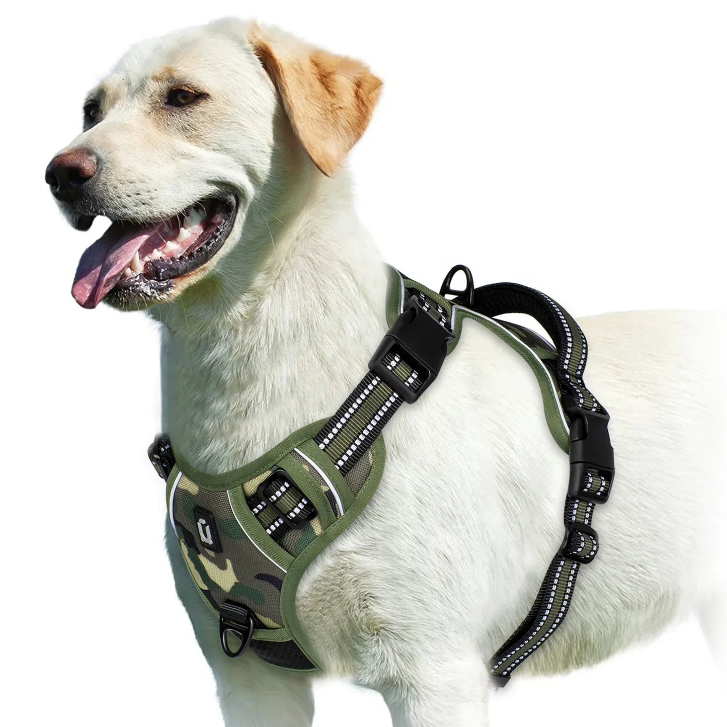 Harnais pour chien réglable pour un confort et une sécurité ultimes