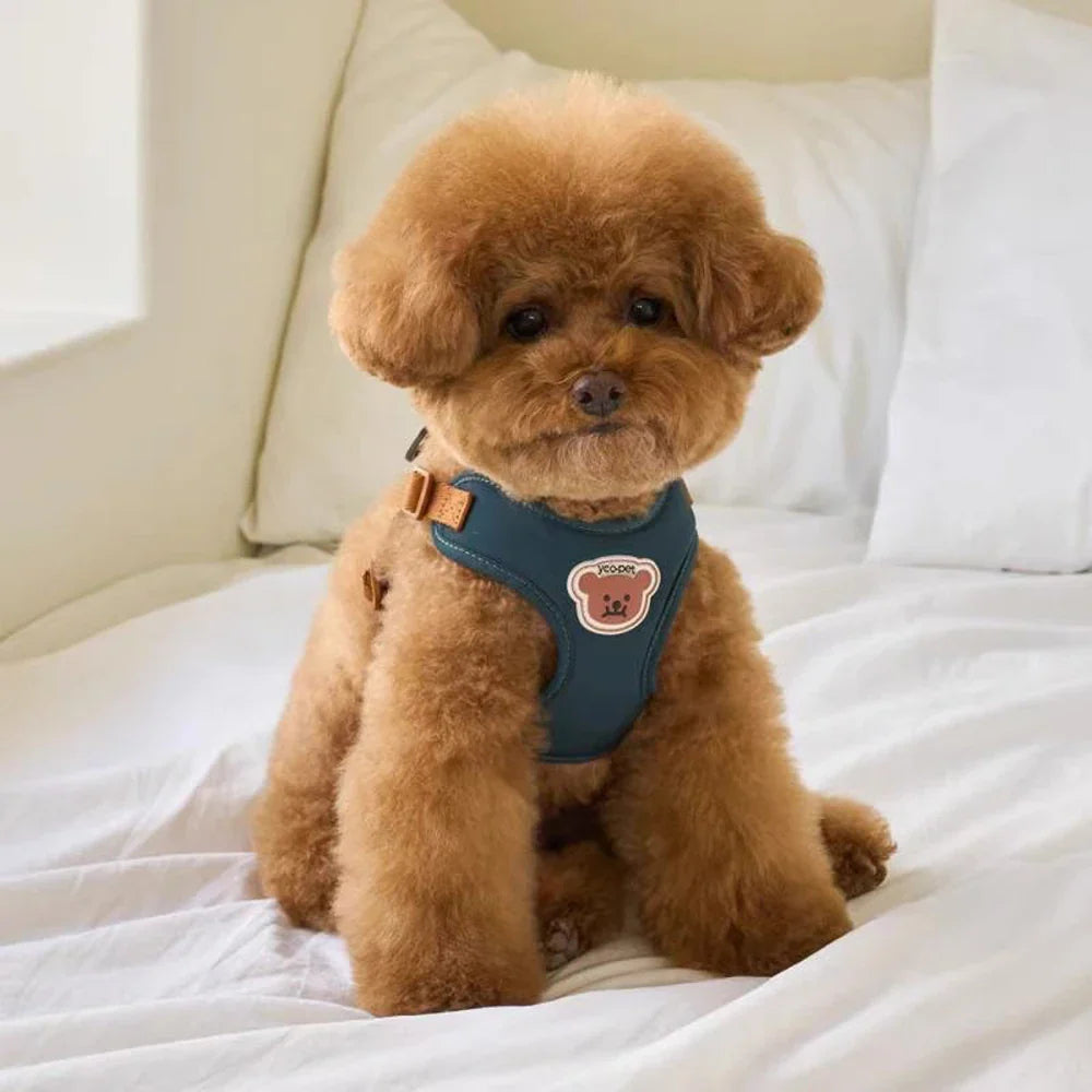 Harnais et sangle mignons et réglables pour le confort et la sécurité