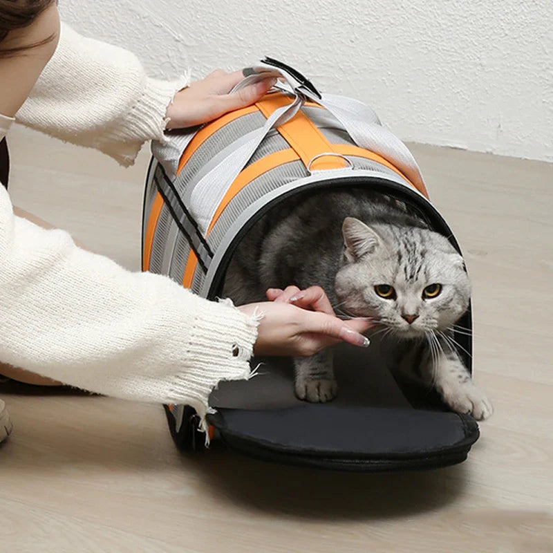 Sac à main pliable de luxe pour le transport facile et élégant des animaux de compagnie