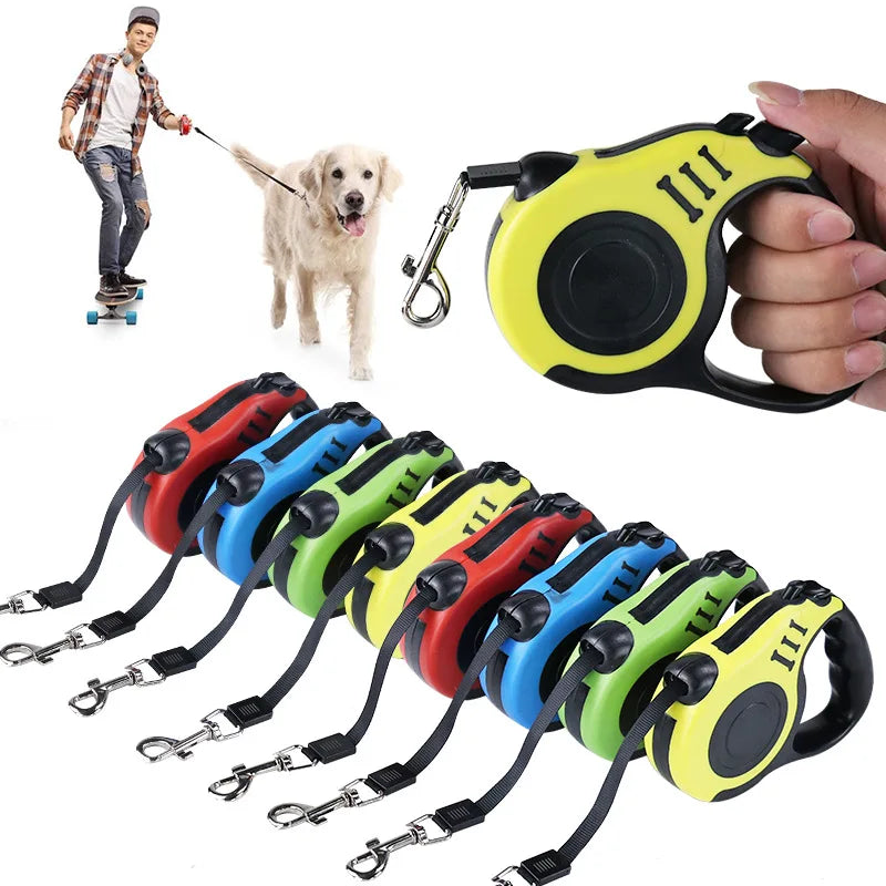 Laisse automatique pour chien de toutes tailles – Confortable et sûre en déplacement