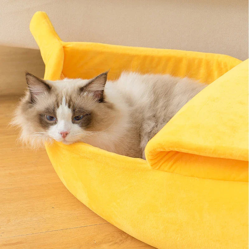 Lit pour chat doux et confortable avec une touche ludique