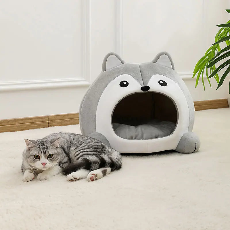 Oreiller affectueux et câlin pour chats et chiots
