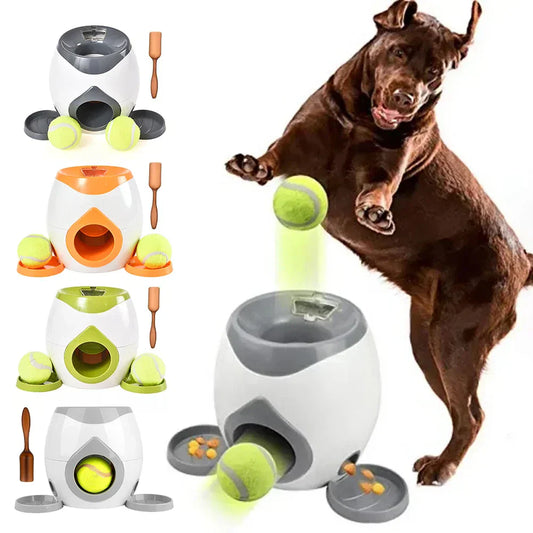 Compagnon automatique - stimulation physique et mentale pour un plaisir sans fin