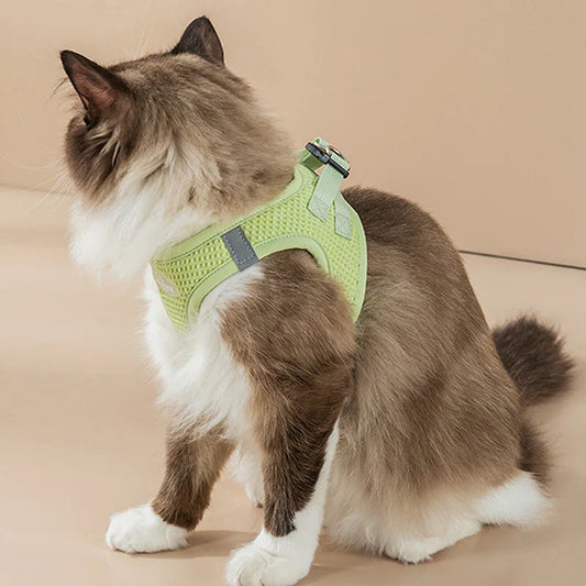 Harnais et laisse confortables et réfléchissants pour animaux de compagnie pour des promenades sûres et élégantes