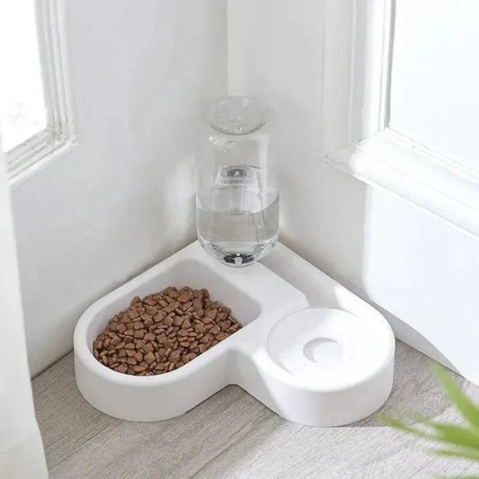 Bol élégant pour nourriture et eau pour chats et chiens pour un repas chic et sain