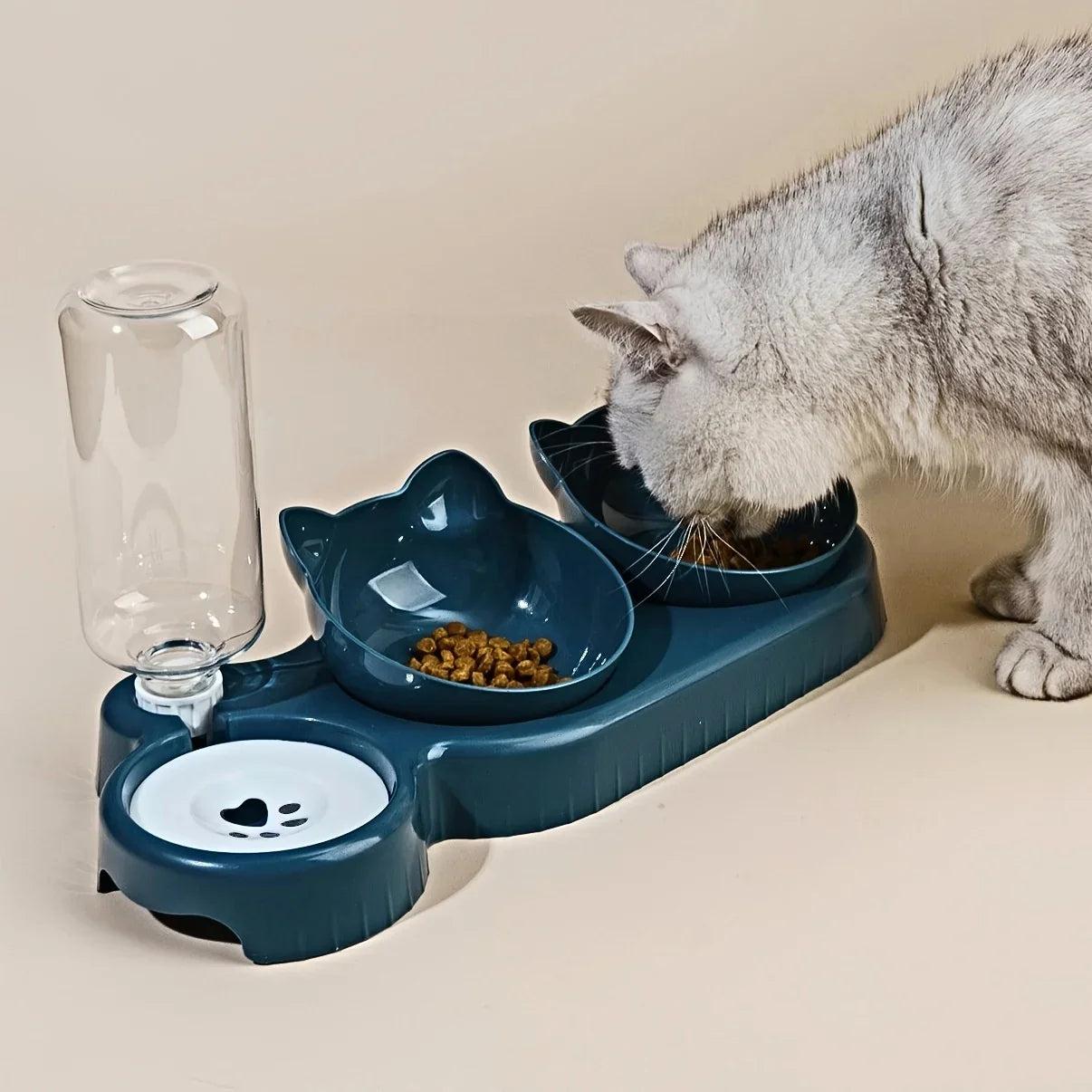 Bol à nourriture pour chat confortable et ergonomique pour un repas sain