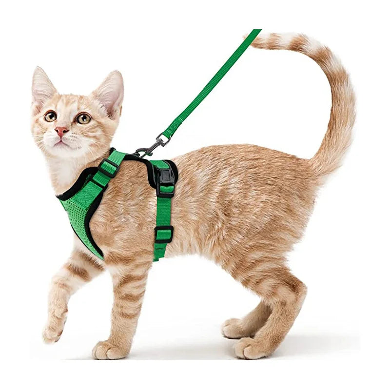 Harnais de marche confortable et sûr pour chats