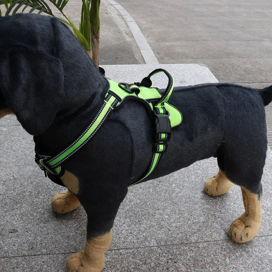 Harnais pour chien en nylon réglable pour confort et sécurité