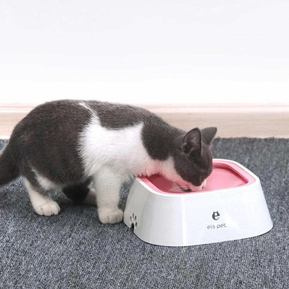 Bol d'eau flottant de luxe pour animaux pour un plaisir de jeu ultime