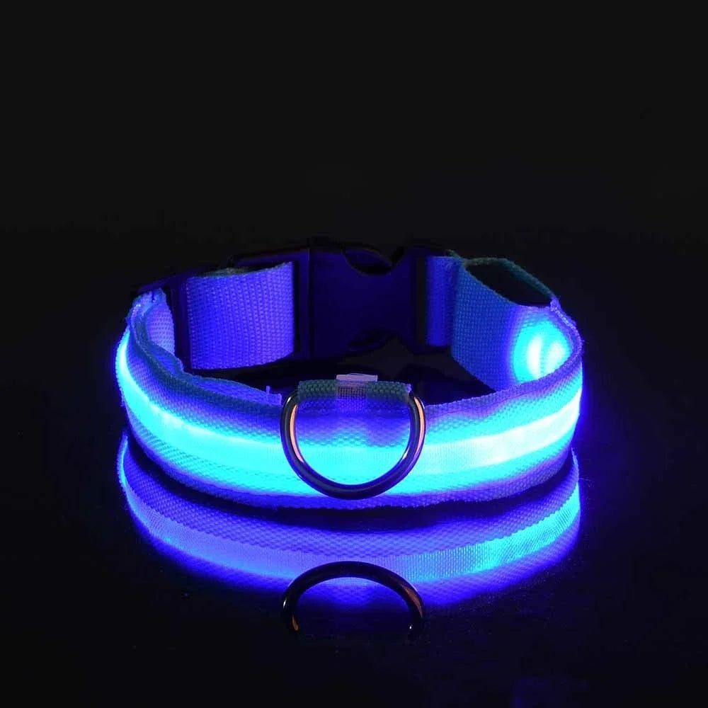 Collier pour chien LED de luxe pour une sécurité nocturne ultime