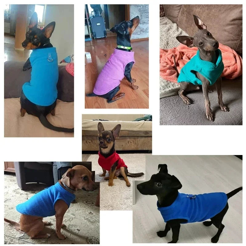 Manteau chaud de luxe pour petits chiens - Confort et protection en un seul produit