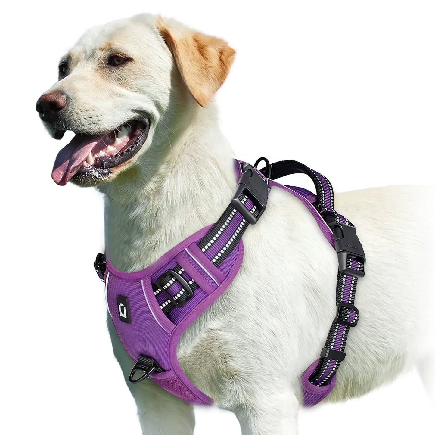 Harnais pour chien réglable pour un confort et une sécurité ultimes