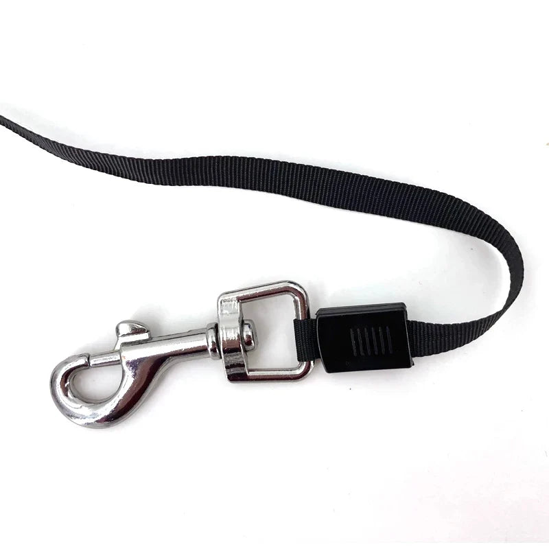 Laisse automatique pour chien de toutes tailles – Confortable et sûre en déplacement