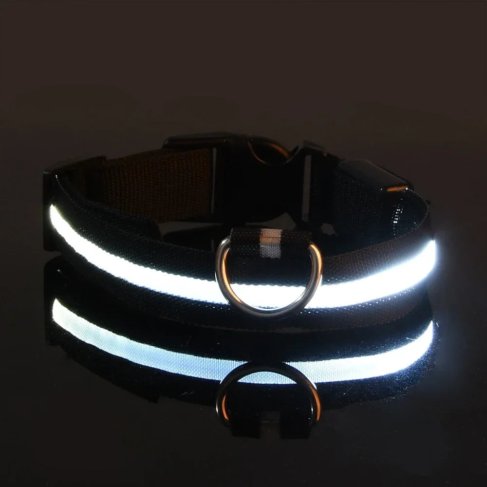 Collier pour chien LED de luxe pour une sécurité nocturne ultime