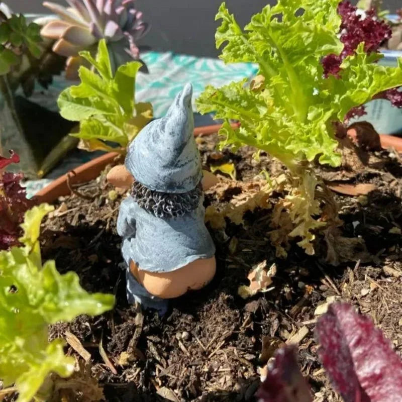 Niobe - Charmante figurine de gnome en bois pour votre jardin et pelouses
