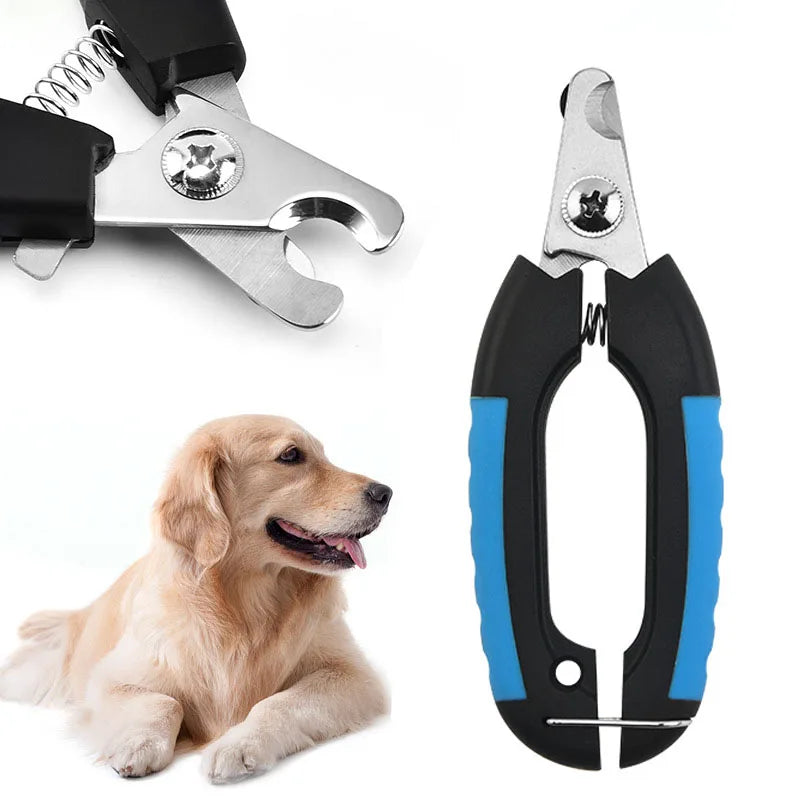 Tondeuse professionnelle pour chiens et chats pour un look parfaitement lisse