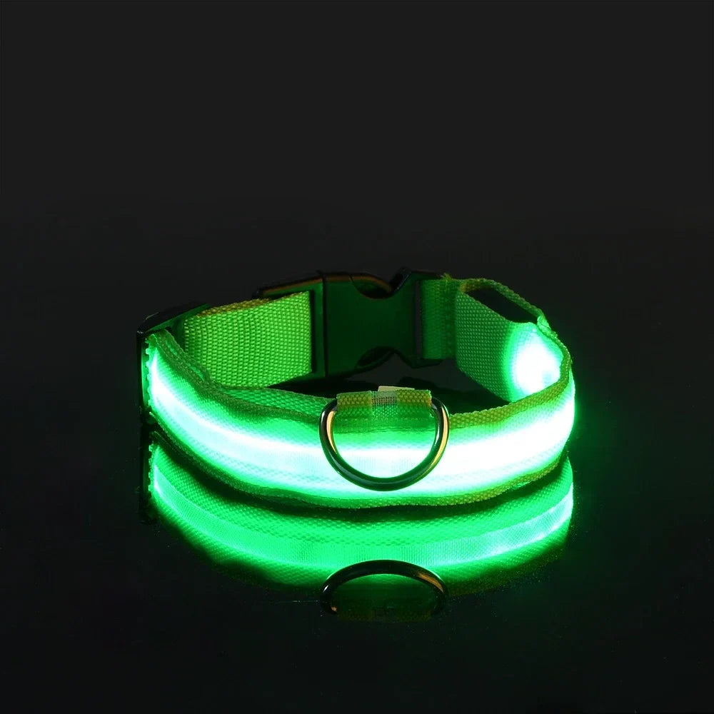 Collier pour chien LED de luxe pour une sécurité nocturne ultime