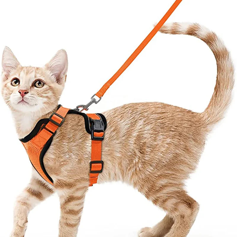 Harnais de marche confortable et sûr pour chats