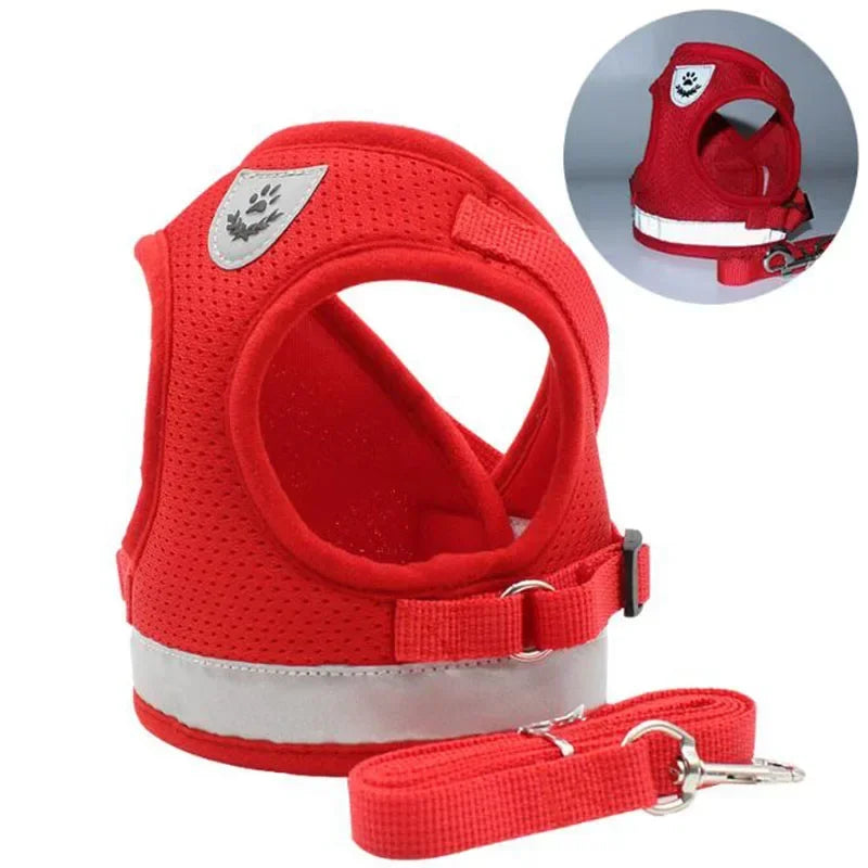 Harnais en maille et laisse pour un confort ultime lors de la promenade