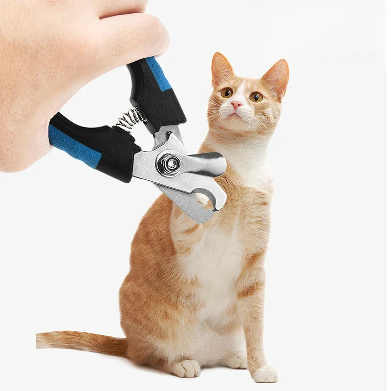 Tondeuse professionnelle pour chiens et chats pour un look parfaitement lisse
