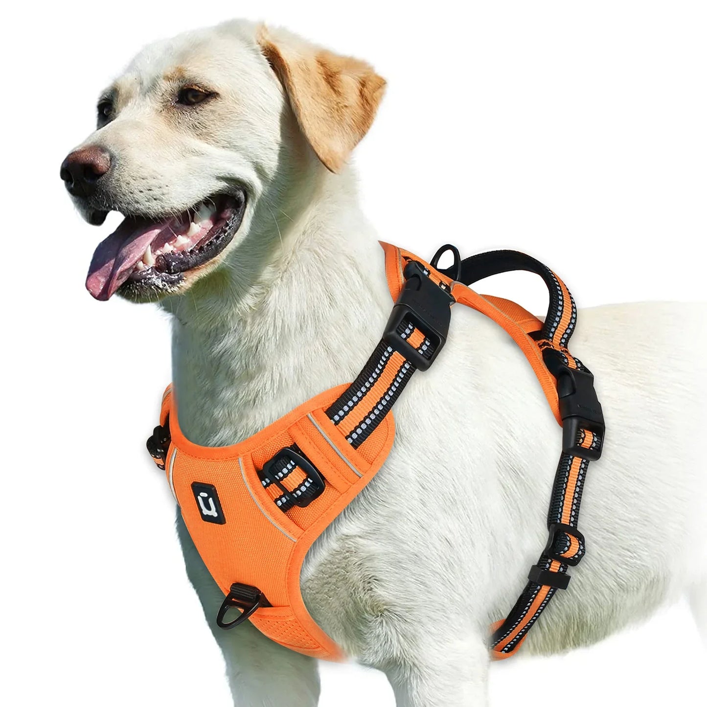 Harnais pour chien réglable pour un confort et une sécurité ultimes