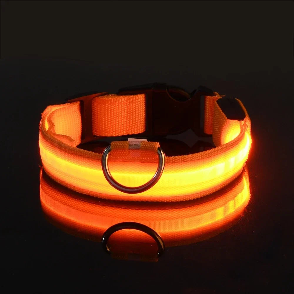 Collier pour chien LED de luxe pour une sécurité nocturne ultime