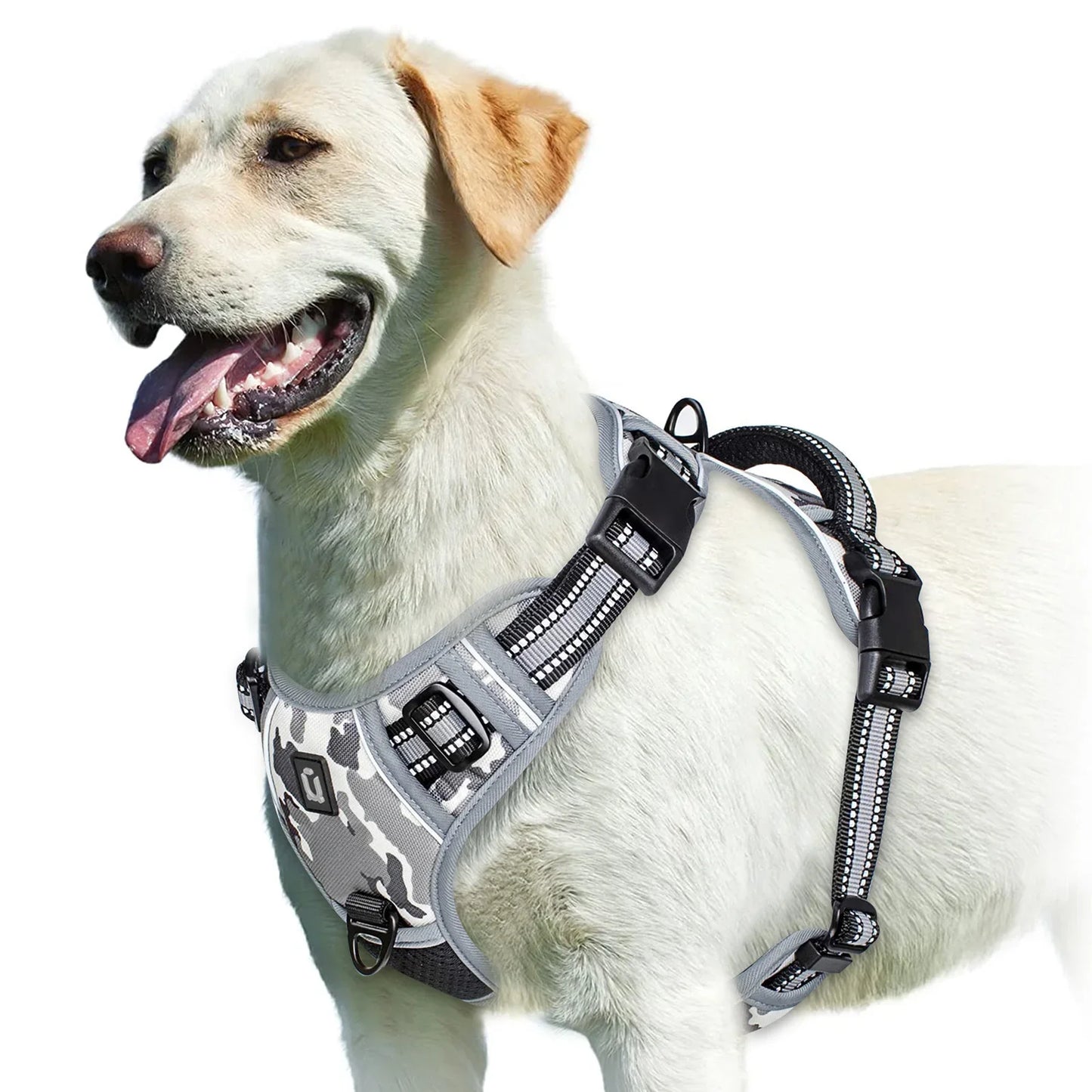 Harnais pour chien réglable pour un confort et une sécurité ultimes