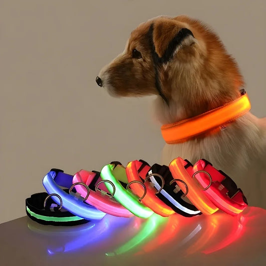 Collier pour chien LED de luxe pour une sécurité nocturne ultime