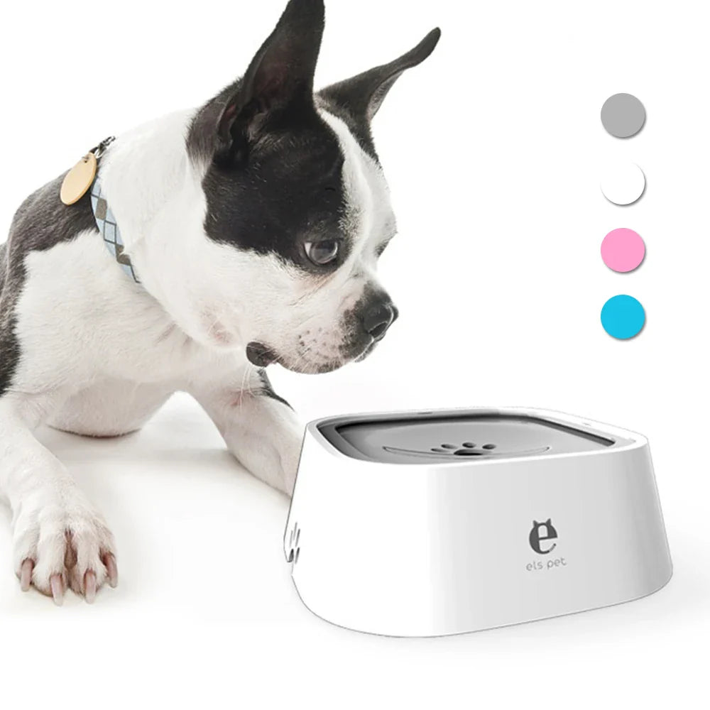 Bol d'eau flottant de luxe pour animaux pour un plaisir de jeu ultime