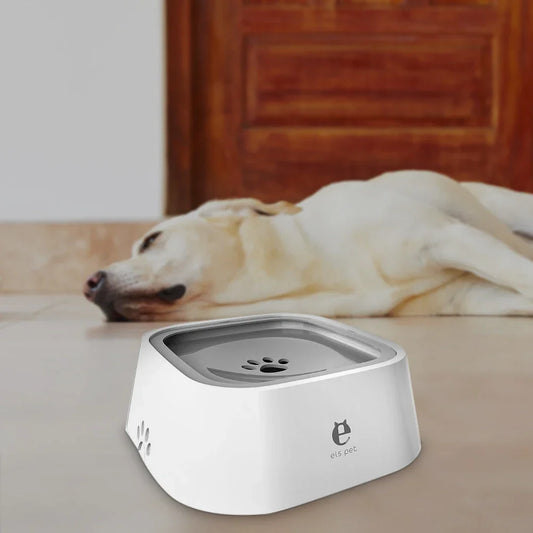 Bol d'eau flottant de luxe pour animaux pour un plaisir de jeu ultime