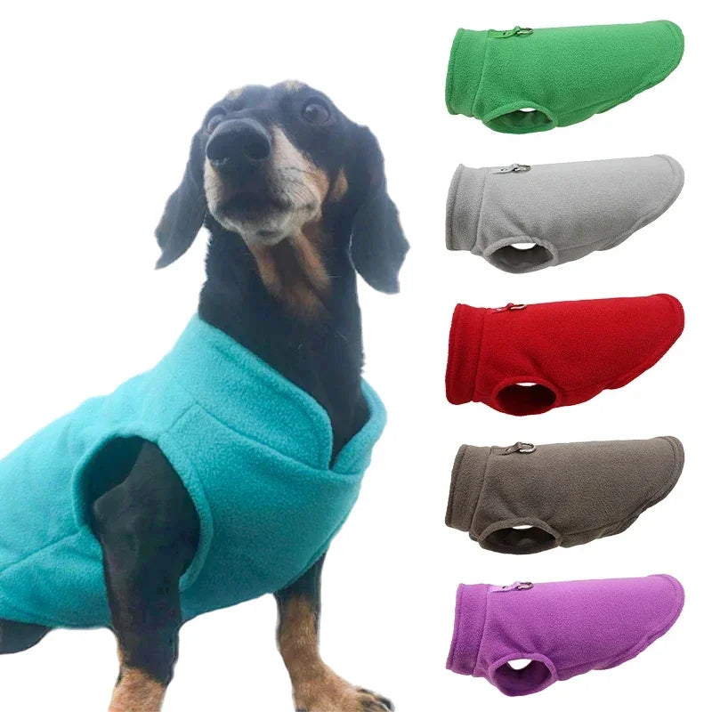 Manteau chaud de luxe pour petits chiens - Confort et protection en un seul produit