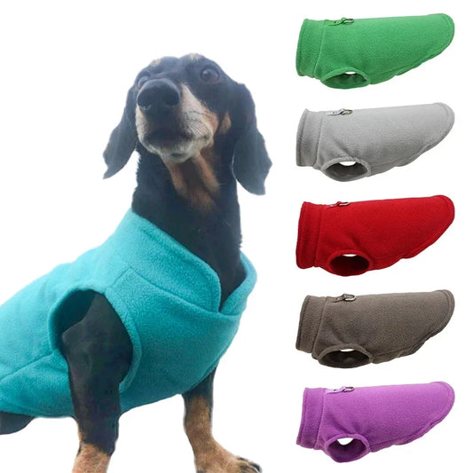 Manteau chaud de luxe pour petits chiens - Confort et protection en un seul produit