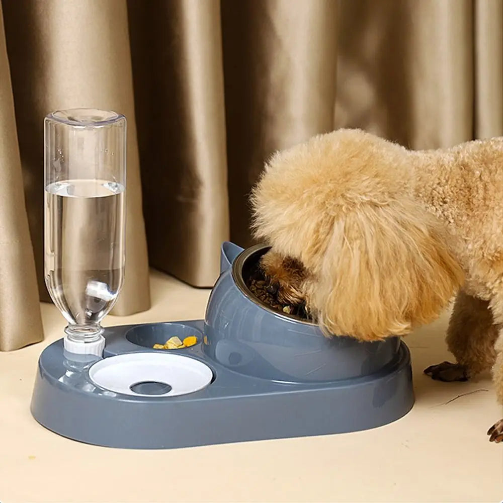 Bol à eau et pour oiseaux de luxe pour des soins d'animaux élégants et pratiques