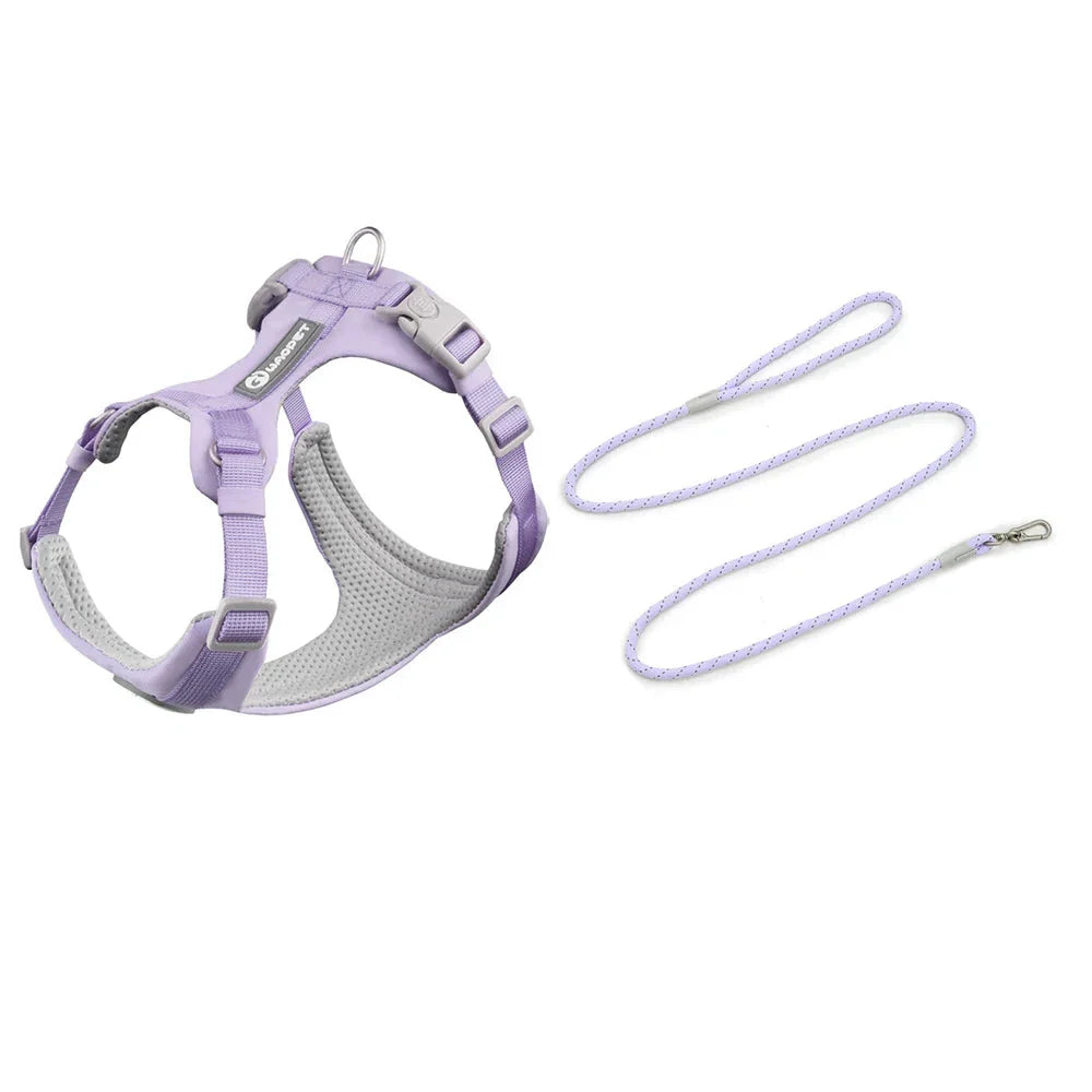 Ensemble ultime de harnais et corde pour entraînement en plein air et aventure