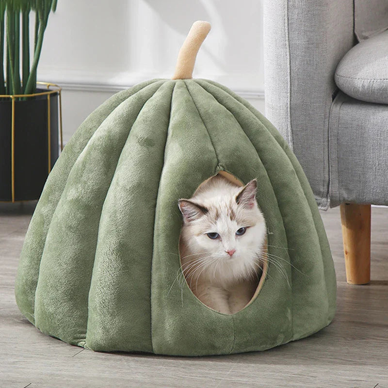 Lit fermé douillet pour chat pour les journées d'hiver chaudes