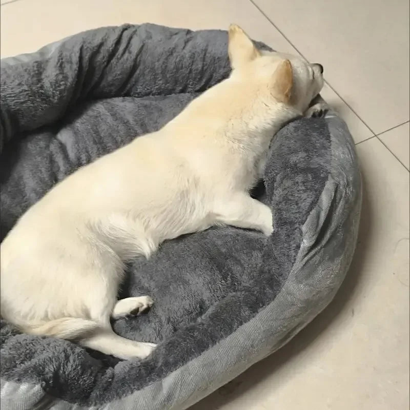 Lit confortable et chaud pour chien et chat