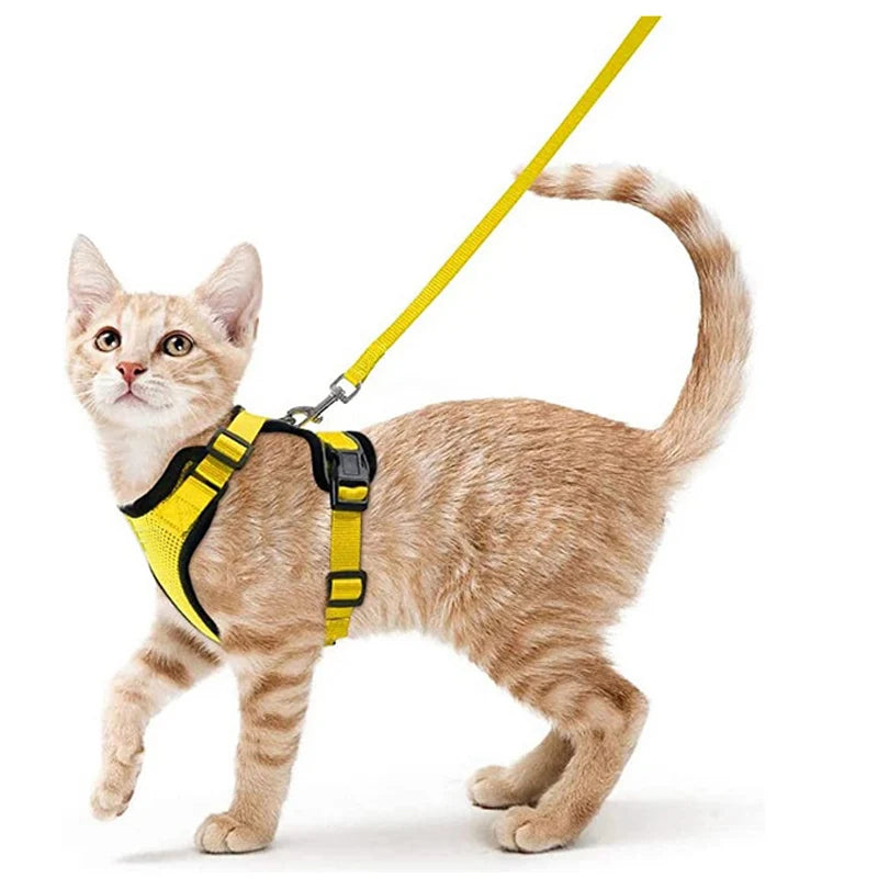 Harnais de marche confortable et sûr pour chats